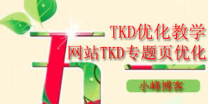 TKD优化教学：网站TKD专题页怎么写好？