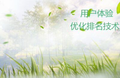 怎么运用百度资源做优化排名